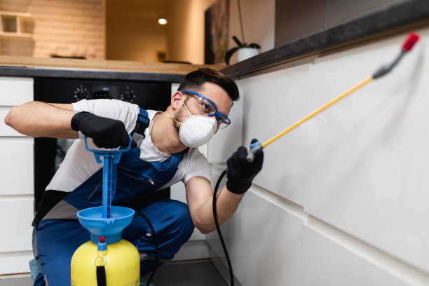 Best Emergency Pest Control  in Berkley, MI