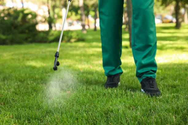 Wildlife Control Services in Berkley, MI