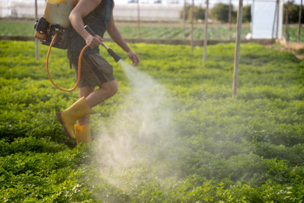 Best Ant Control Services  in Berkley, MI