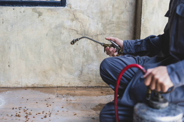 Best Termite Control Services  in Berkley, MI